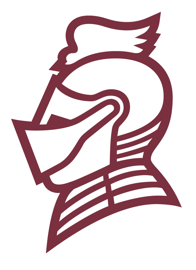 Bellarmine Knights 2020-Pres Secondary Logo diy iron on heat transfer